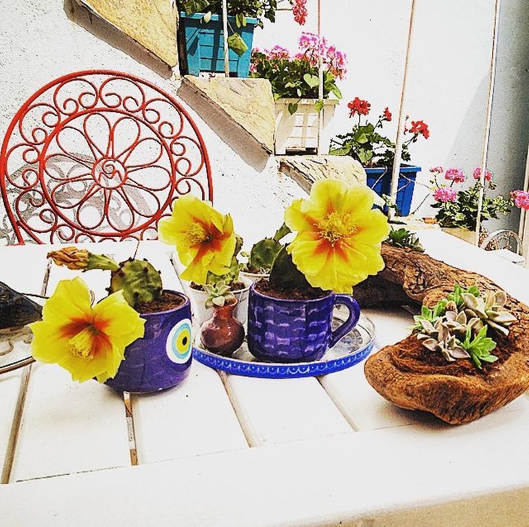 Akarsu Kalyopi Hotel Bozcaada Bagian luar foto
